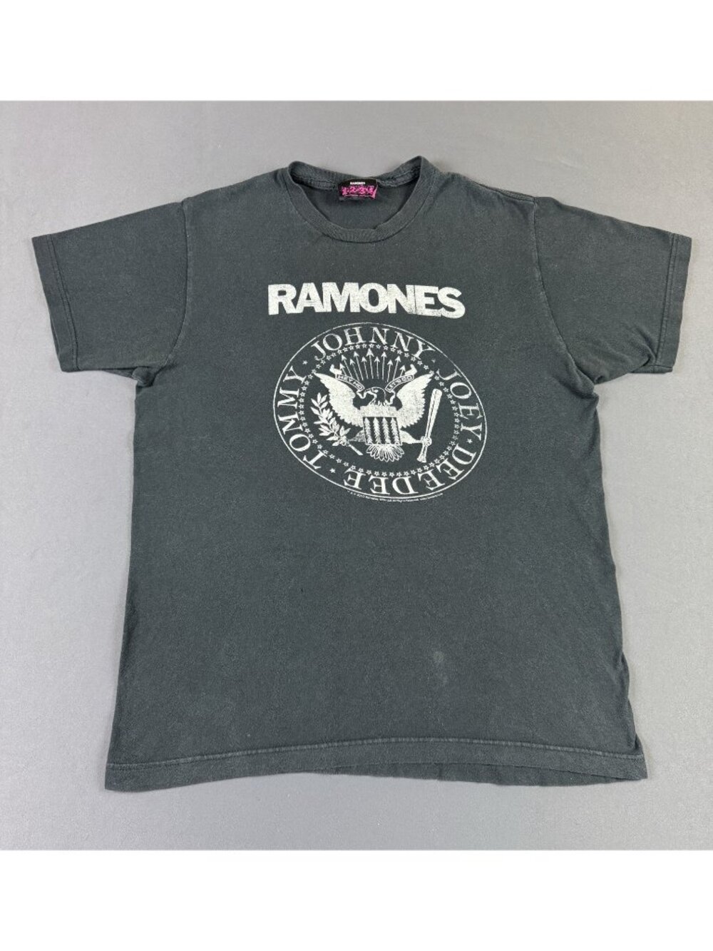 Rare Vintage Y2K Ramones Band Tee Classic Logo Art Sun Fade Medium Promo Concert
